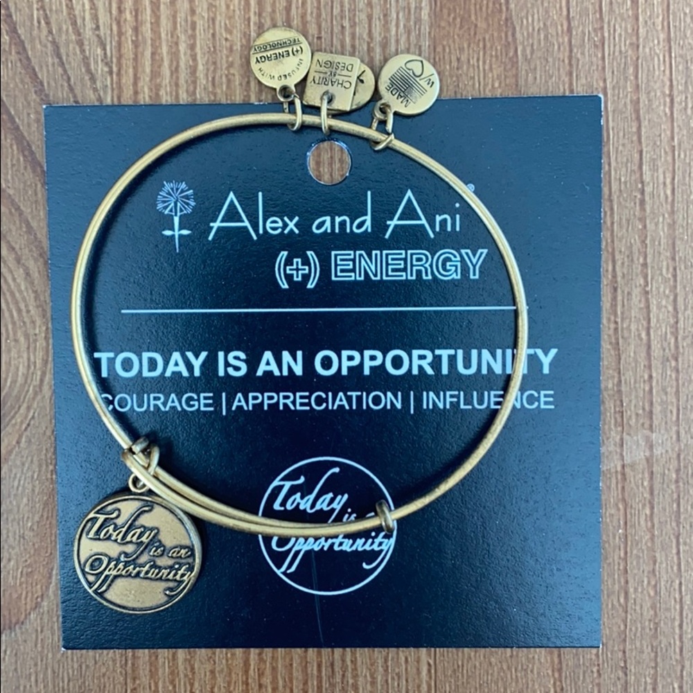 Alex & Ani Today is an Opportunity